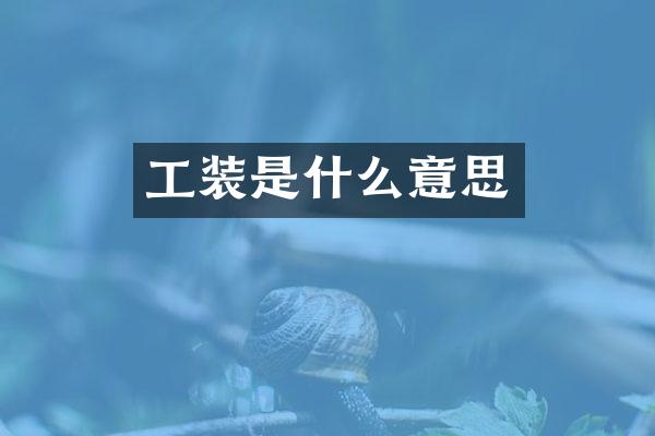 工装是什么意思