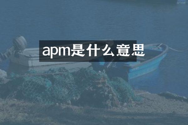 apm是什么意思