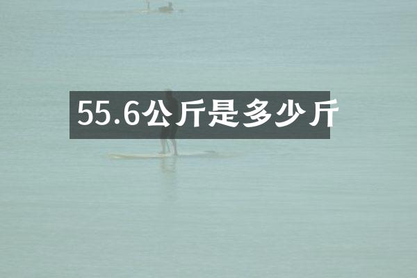 55.6公斤是多少斤
