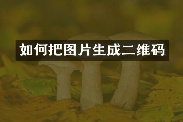 如何把图片生成二维码