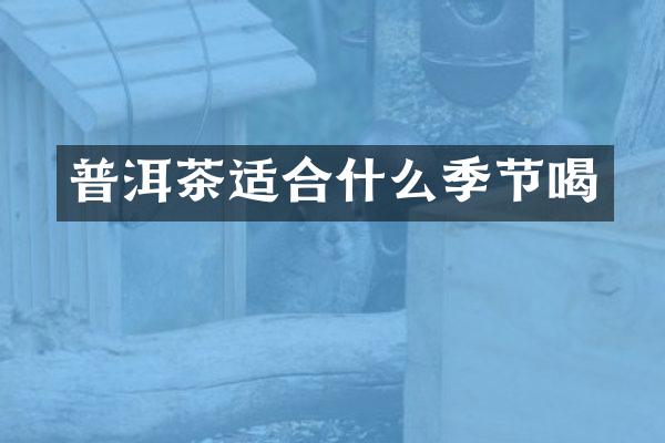 普洱茶适合什么季节喝