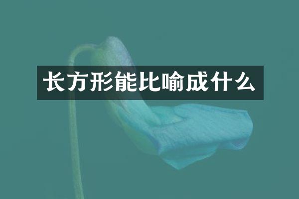 长方形能比喻成什么