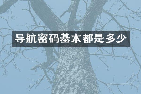 导航密码基本都是多少