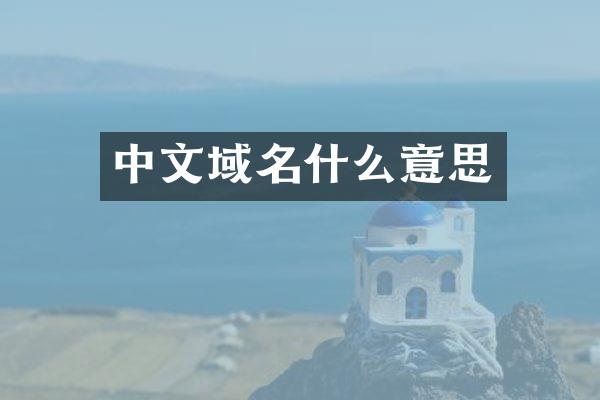 中文域名什么意思