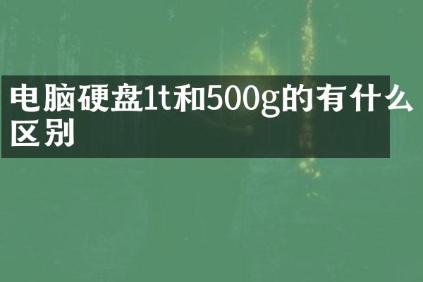 电脑硬盘1t和500g的有什么区别