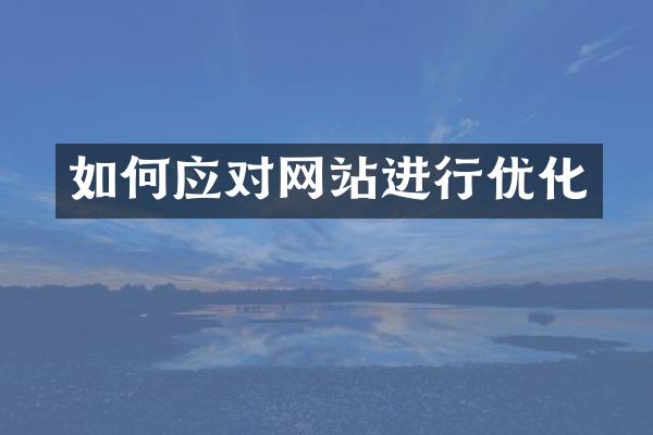 如何应对网站进行优化