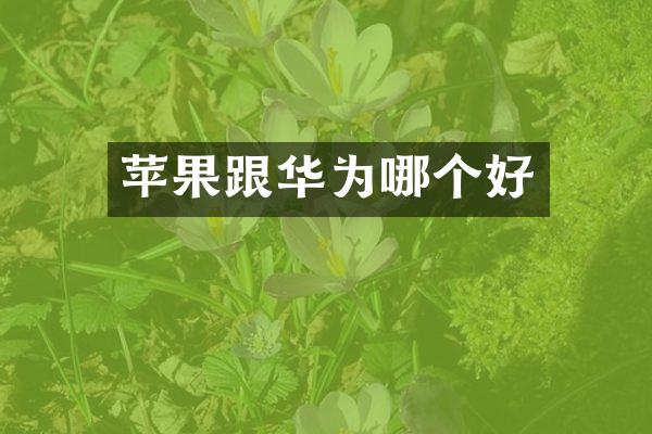 苹果跟华为哪个好