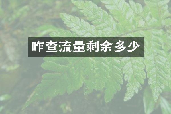 咋查流量剩余多少