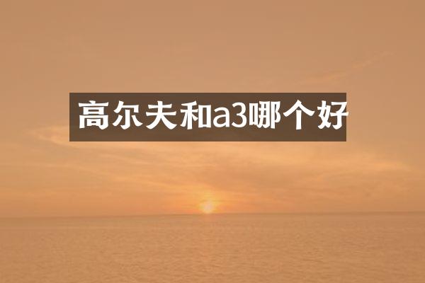 高尔夫和a3哪个好