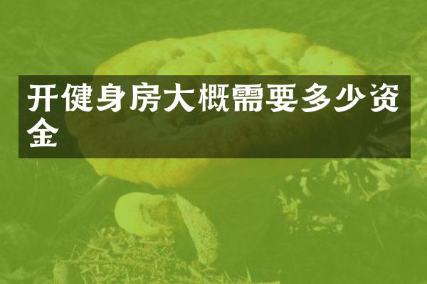 开健身房大概需要多少资金