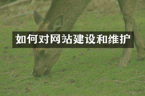 如何对网站建设和维护
