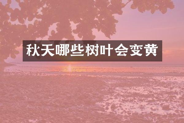 秋天哪些树叶会变黄