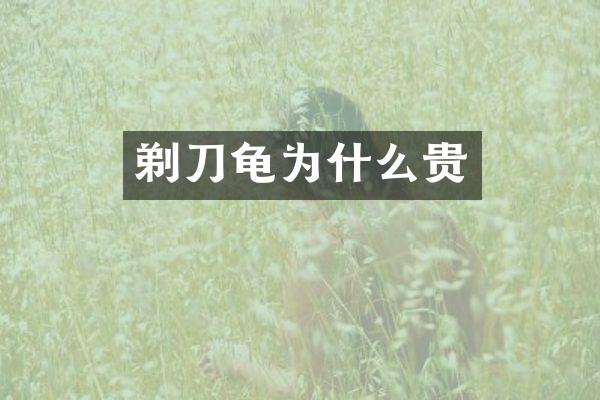 剃刀龟为什么贵