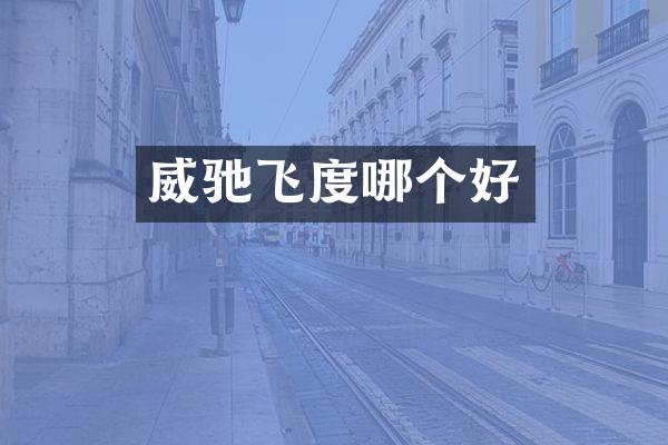 威驰飞度哪个好