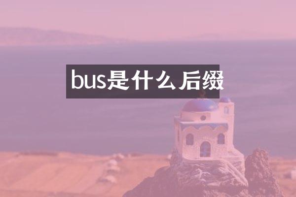bus是什么后缀