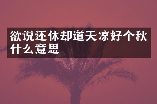 欲说还休却道天凉好个秋什么意思