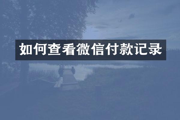 如何查看微信付款记录