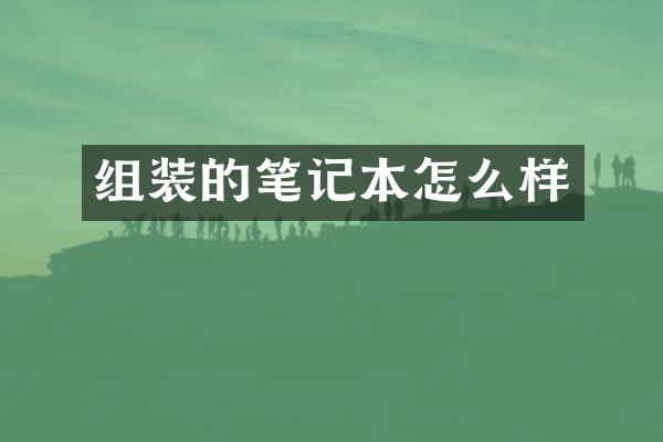 组装的笔记本怎么样