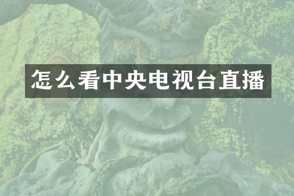 怎么看中央电视台直播
