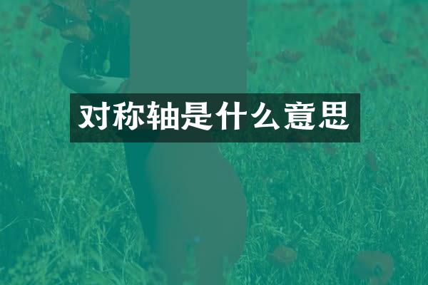 对称轴是什么意思
