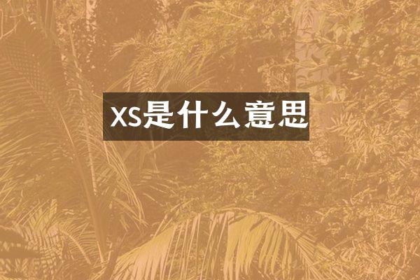 xs是什么意思