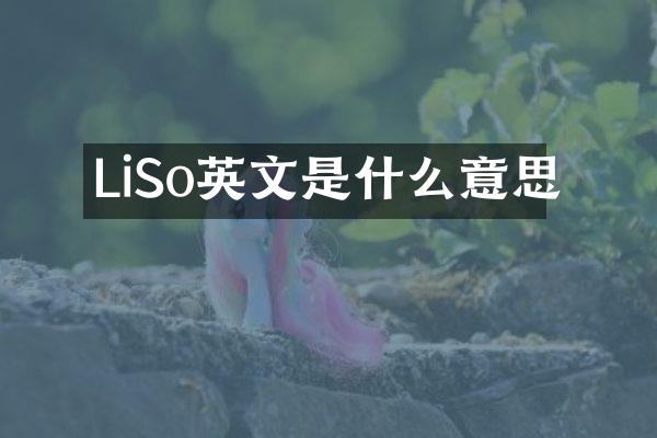 LiSo英文是什么意思