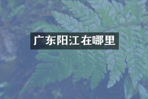 广东阳江在哪里