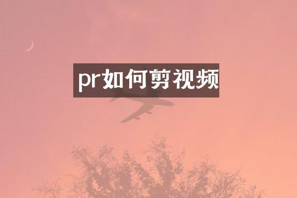 pr如何剪视频
