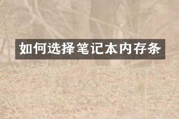 如何选择笔记本内存条