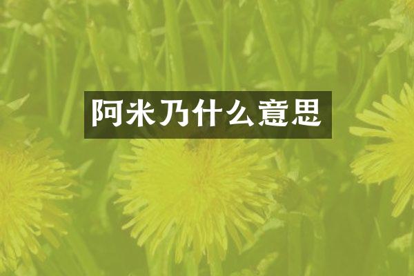 阿米乃什么意思