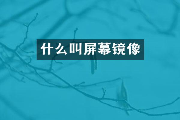 什么叫屏幕镜像