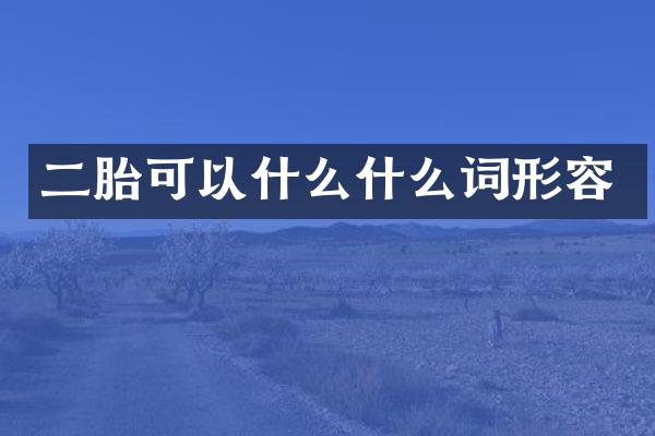 二胎可以什么什么词形容