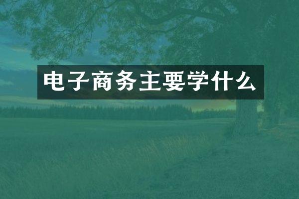电子商务主要学什么