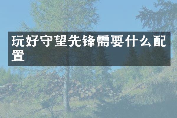 玩好守望先锋需要什么配置