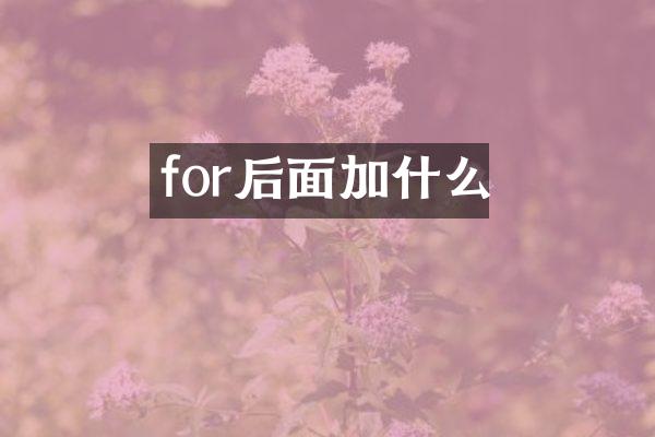 for后面加什么