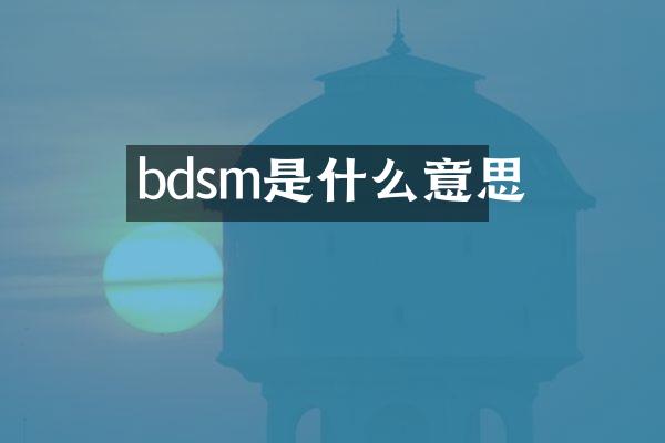 bdsm是什么意思