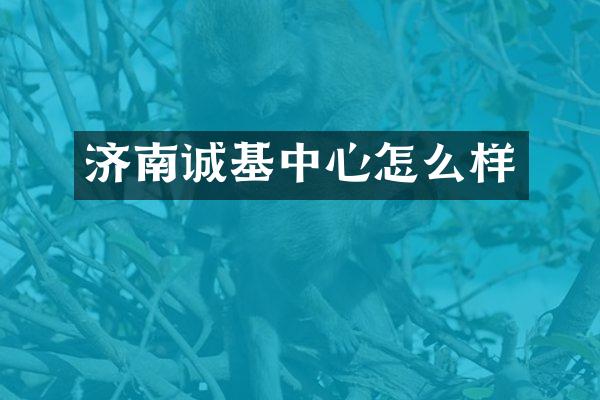 济南诚基中心怎么样