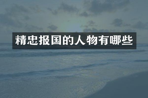 精忠报国的人物有哪些