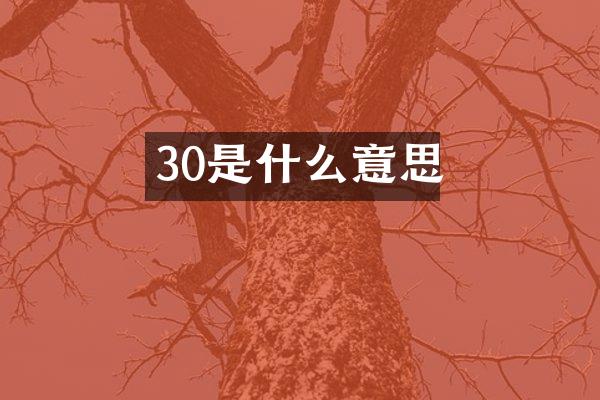 30是什么意思