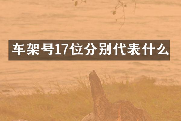 车架号17位分别代表什么