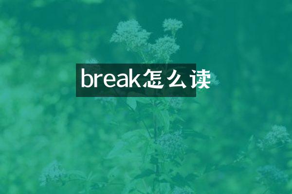 break怎么读