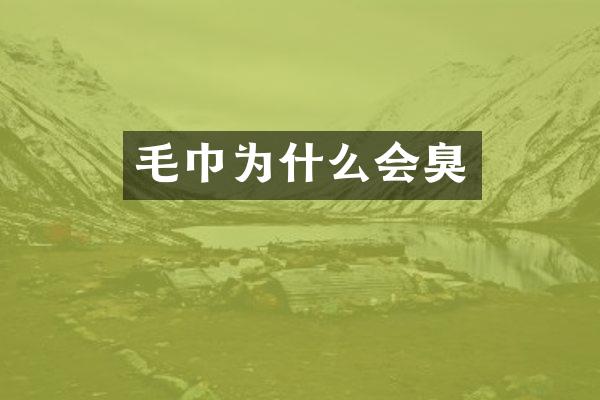 毛巾为什么会臭