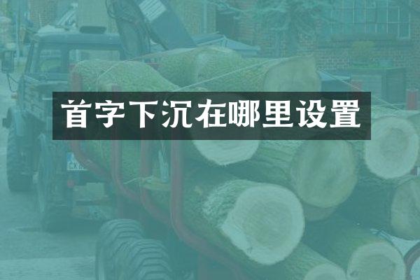首字下沉在哪里设置