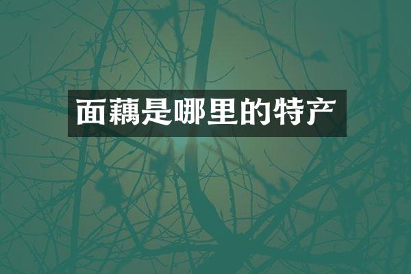 面藕是哪里的特产