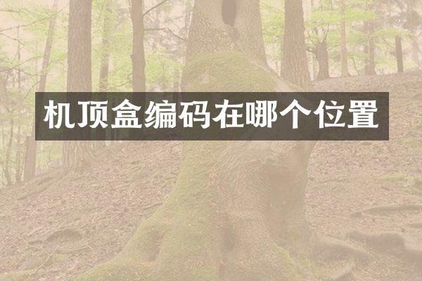 机顶盒编码在哪个位置