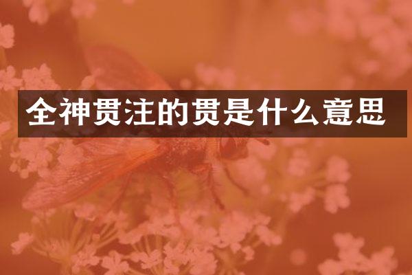 全神贯注的贯是什么意思