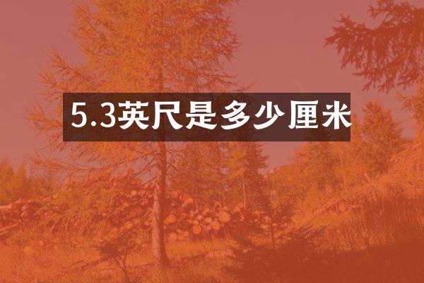 5.3英尺是多少厘米