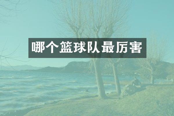 哪个篮球队最厉害