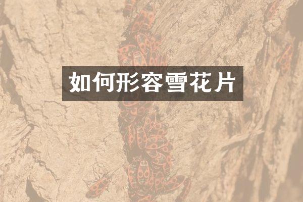 如何形容雪花片