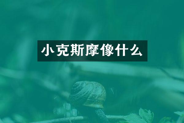 小克斯摩像什么